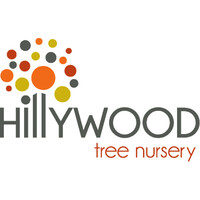 Hillywood Tree Nursery Logo