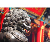 Sunfield Chambers Solicitors & Associates Logo