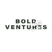 Bold Ventures Logo