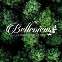 Belleview Logo