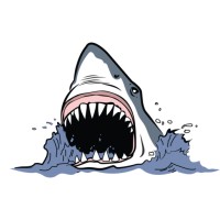 Mighty Fish Digital Logo