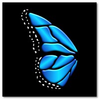 Blue Monarch Management Logo