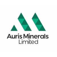 Auris Minerals Limited Logo