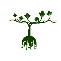 Vintality: Data + Terroir Logo