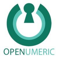 OpeNumeric Logo
