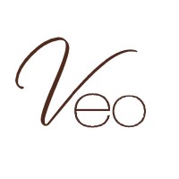 Visual Expressions Optometry Logo