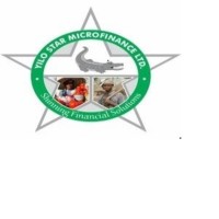 YILO STAR MICROFINANCE LTD Logo