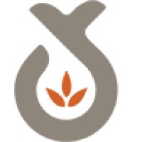 Youtheory Logo