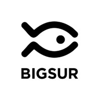 Big Sur s.c.r.l. Logo