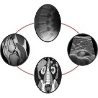 Brighton Radiology Logo