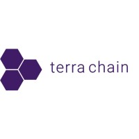 TerraChain Logo