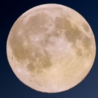 Moonsong Studios Logo