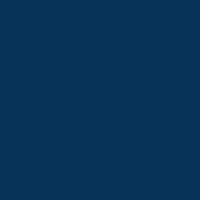 Nachster Webs Logo