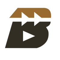 BAYI Capital Management Logo