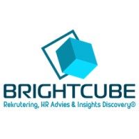 Brightcube | HR Advies & Insights Discovery® Logo