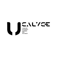 CALYCE Logo