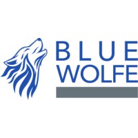 Blue Wolfe Financial Logo