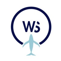 Whale Seeker Logo