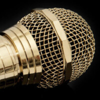 Voice Activated Logo