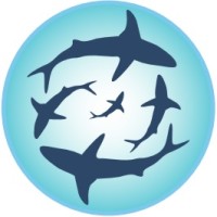 Financial Blind Spot Logo