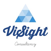 ViSight Consultancy Logo