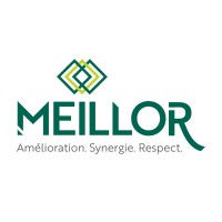 Meillor Logo