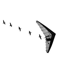 Formation Association Architecture, Inc. Logo