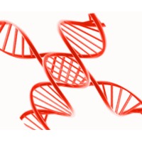 xBiologix Logo