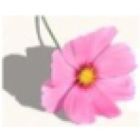 Backyard Weddings Logo