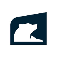 PolarReal Debt & Capital Advisory Logo