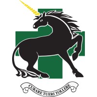 335 Medical Evacuation Regiment Logo