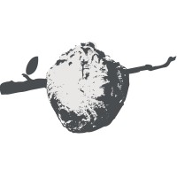 The Vespiary Book Restoration & Bindery Logo