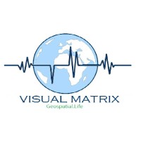 Visual Matrix Logo