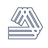 DooleyMack Constructors of Georgia, Inc. Logo