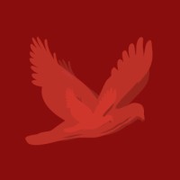 iVlog Logo