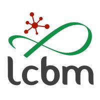 Chemistry and Biology of Metals Laboratory - LCBM Logo