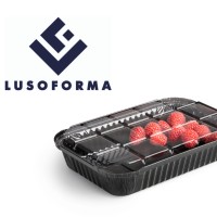 Lusoforma, S.A. Logo