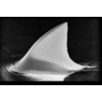 Mako Mining Logo