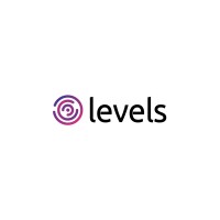 Levels - Inteligência em Relações Governamentais Logo