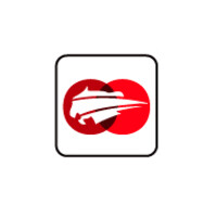Tigerbook Consulting, LLC Logo