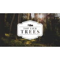 Top Tier Trees Logo
