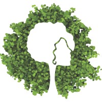 Rede Mulher Florestal Logo