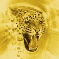 Richards & Gold Logo