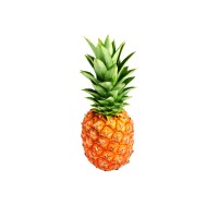 Pineapple Tours Logo