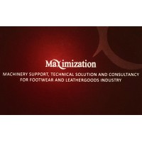 Maximization Ltd. Logo