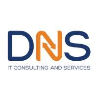 DNS IT Consulting and Services Logo