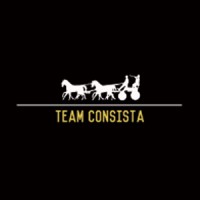 Team Consista Logo