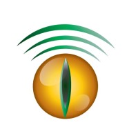 Dragon Telecommunication Company Logo