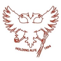 Alfe Consulting SRL Logo