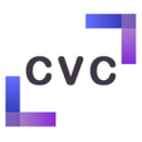 Capital Venture Consulting Logo